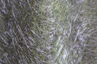 Long Clawson fibreglass roof work